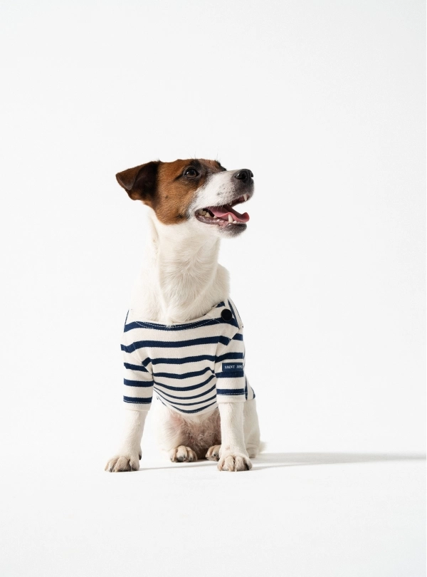 Nautical T-Shirts / Doggy for women - Toutounière - Saint James