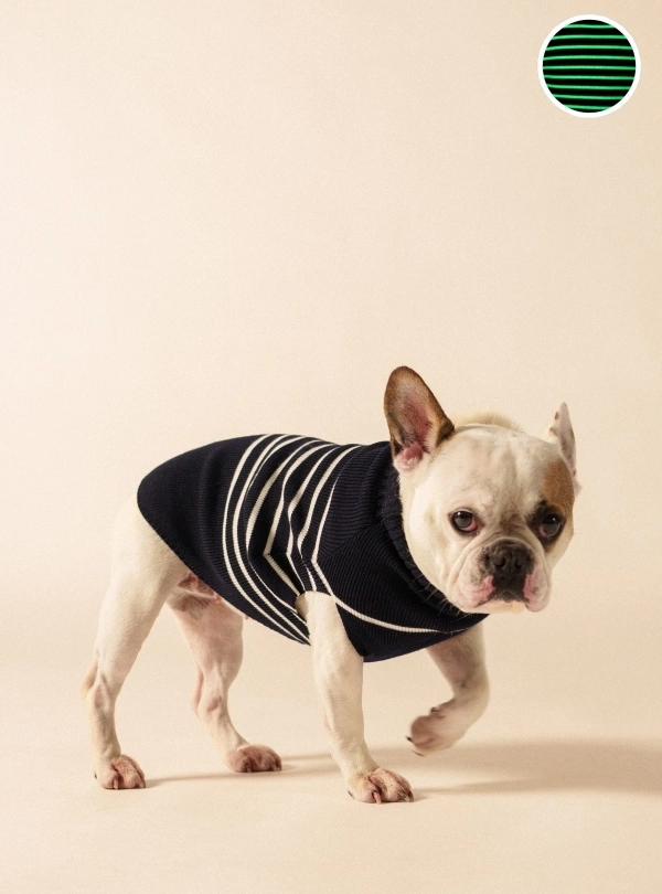 Toutou pour homme - Toutou Phosphorescent - Saint James