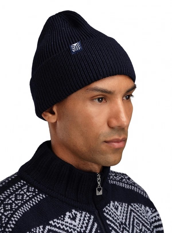 Tuques pour homme - Bouvet Tuque - Dale of Norway